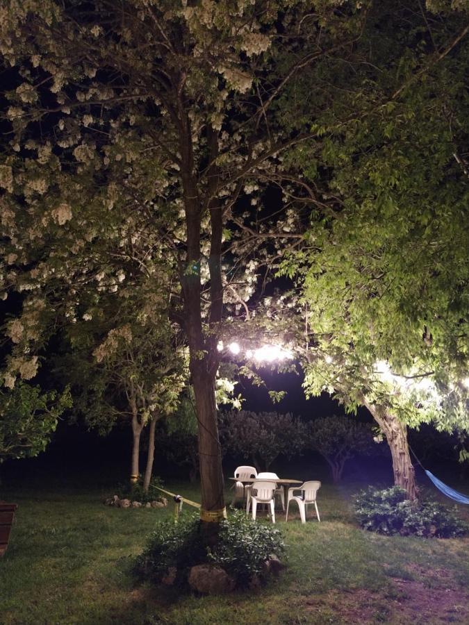 Masia Can Ninot 산타수산나 외부 사진