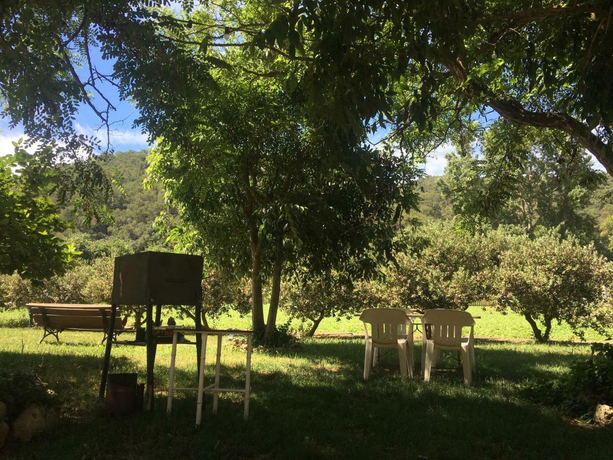 Masia Can Ninot 산타수산나 외부 사진
